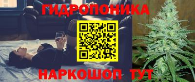 PSILOCYBIN Гусиноозёрск