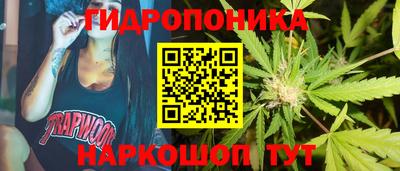 PSILOCYBIN Гусиноозёрск